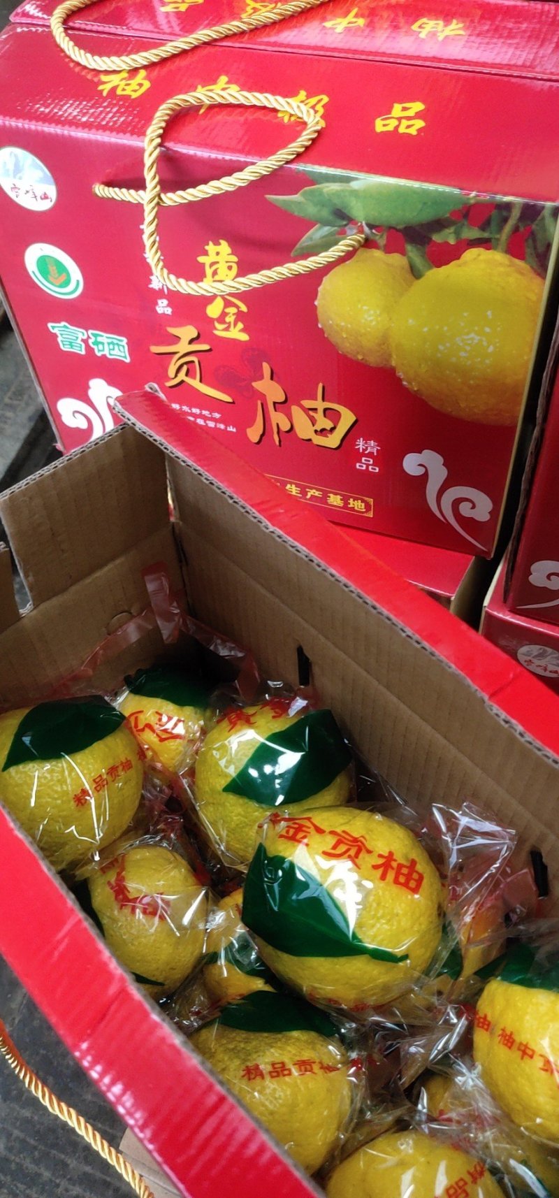 黄金贡柚精品包装果