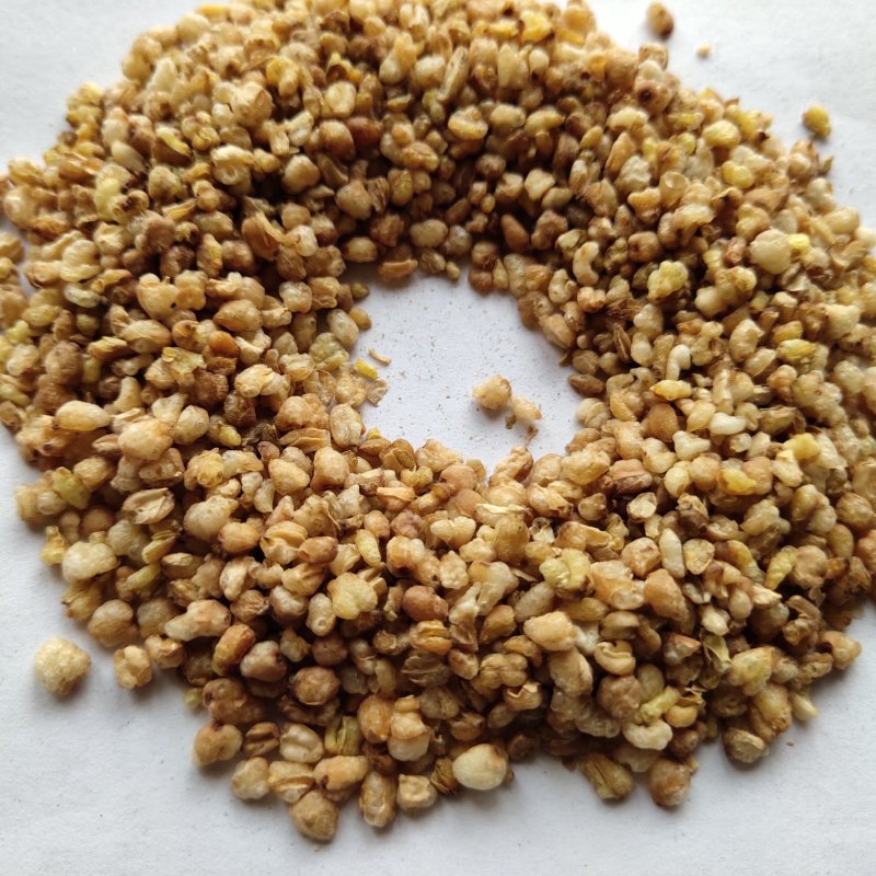 金荞麦选关书药业批发各种规格中药材