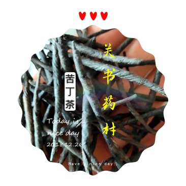 苦丁茶新货去火批发中药材