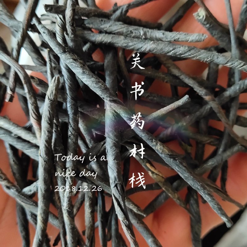 苦丁茶新货去火批发中药材