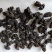 桑葚水洗烘干关书药业批发中药材1000g起批