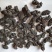 桑葚水洗烘干关书药业批发中药材1000g起批