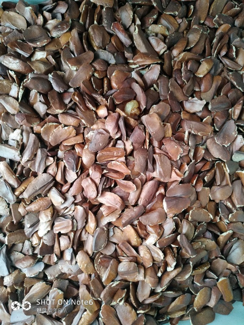 向天果
