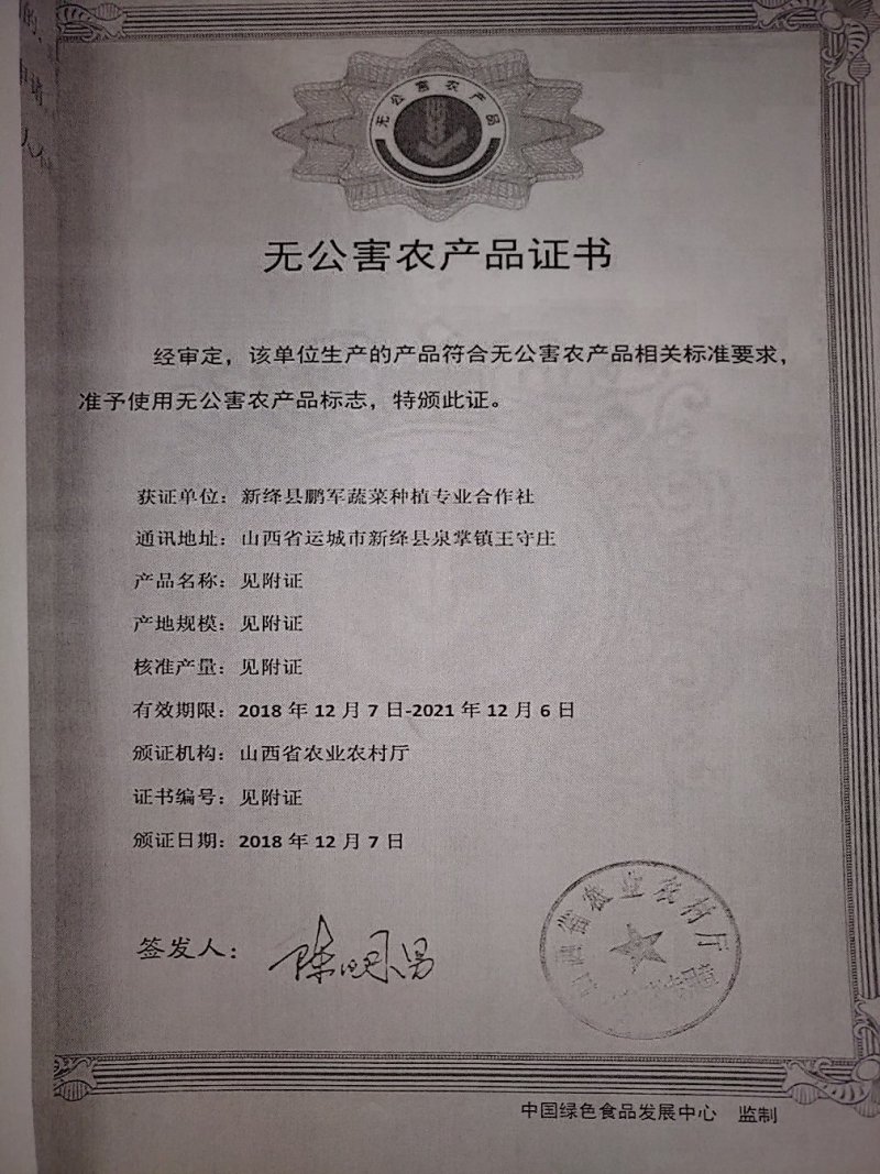 山西运城圣女果贝贝2号圣女果20克以上支持视频看货