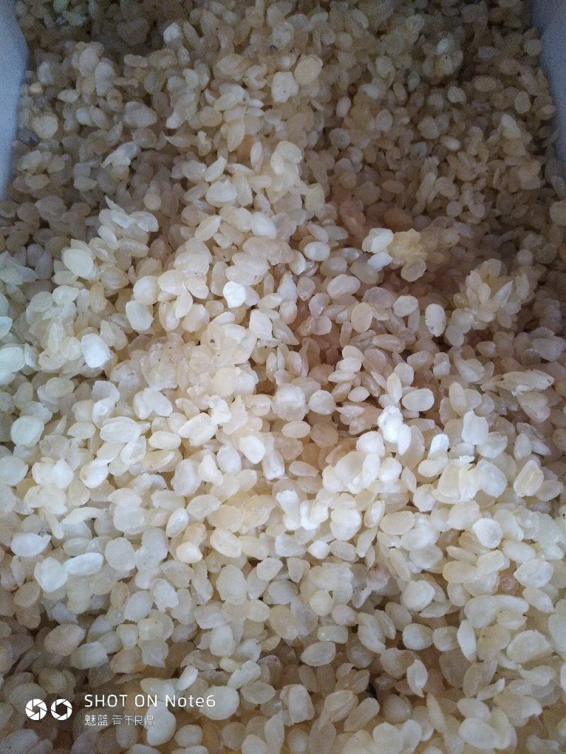 雪莲子