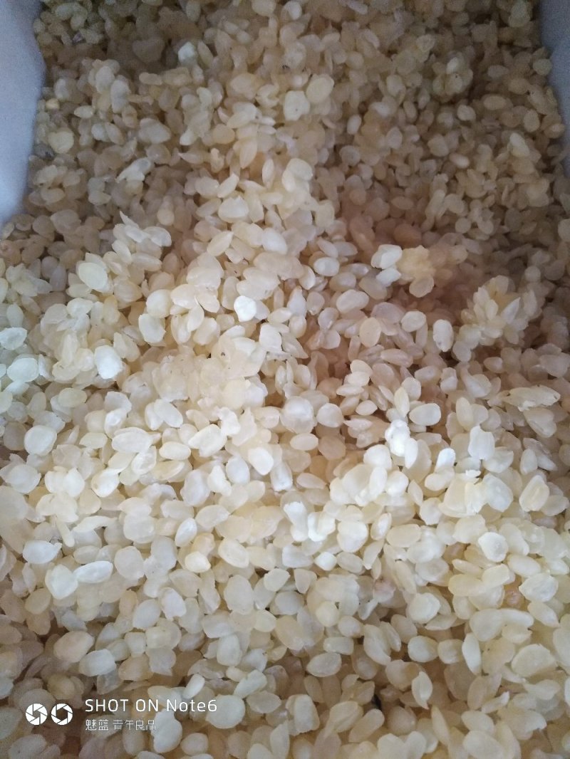 雪莲子