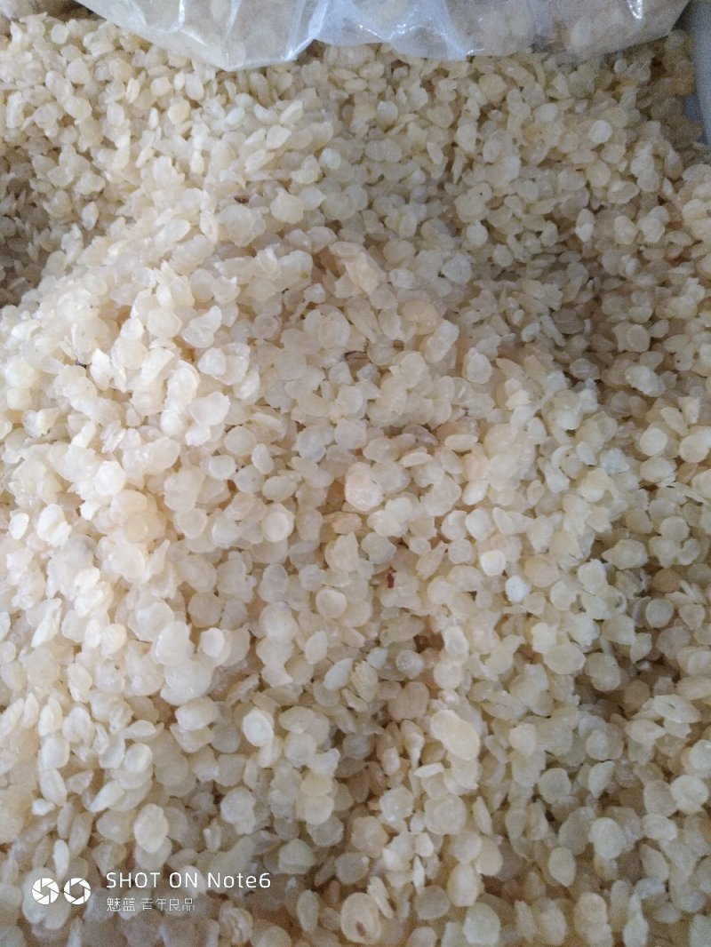 雪莲子