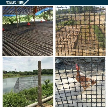 抗晒圈地塑料养殖网鸡鸭鹅脚踏网漏粪板菜园围栏网6-7年