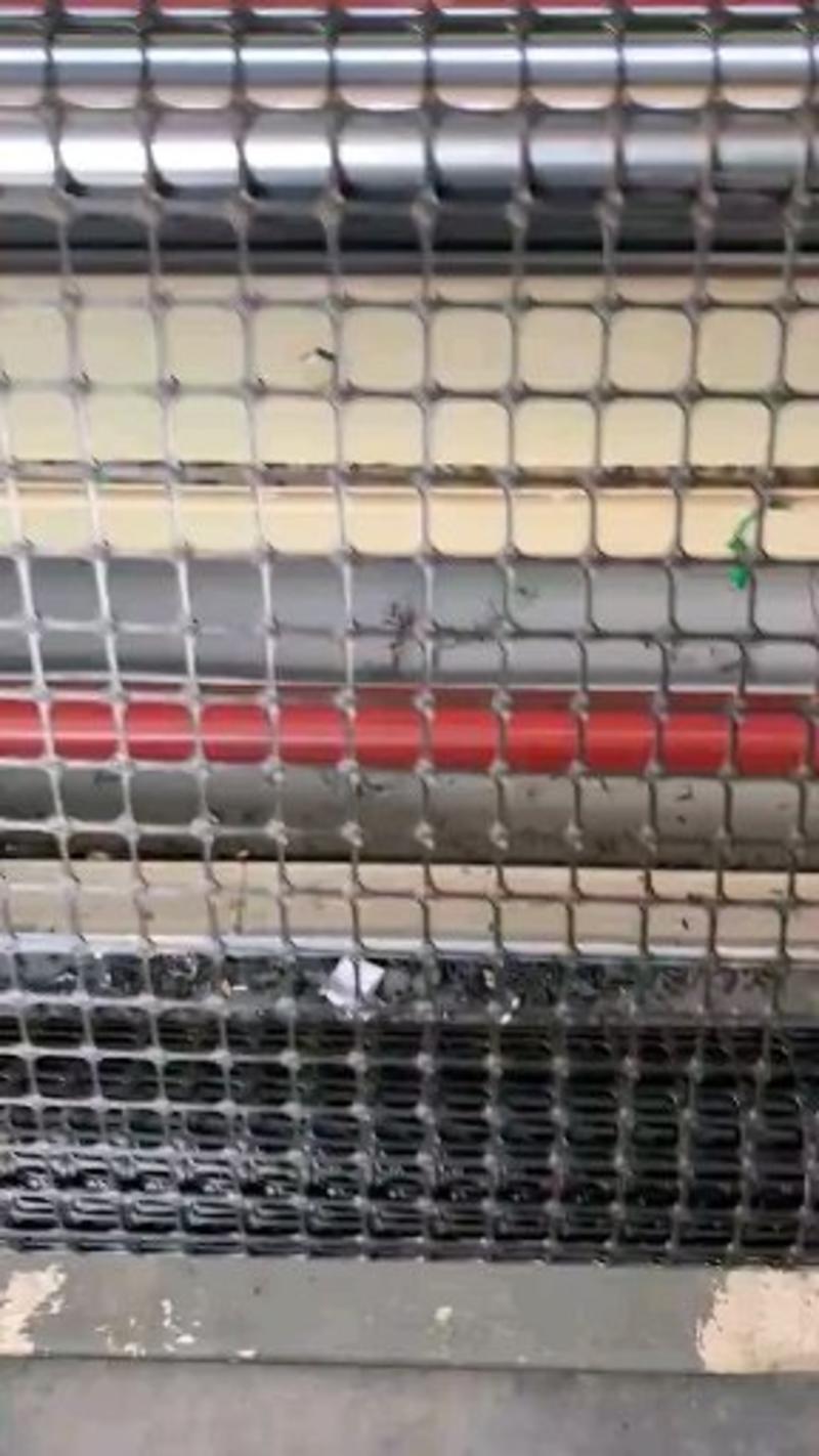 抗晒塑料养殖网鸡鸭鹅脚踏网漏粪板菜园围栏网圈地围栏网