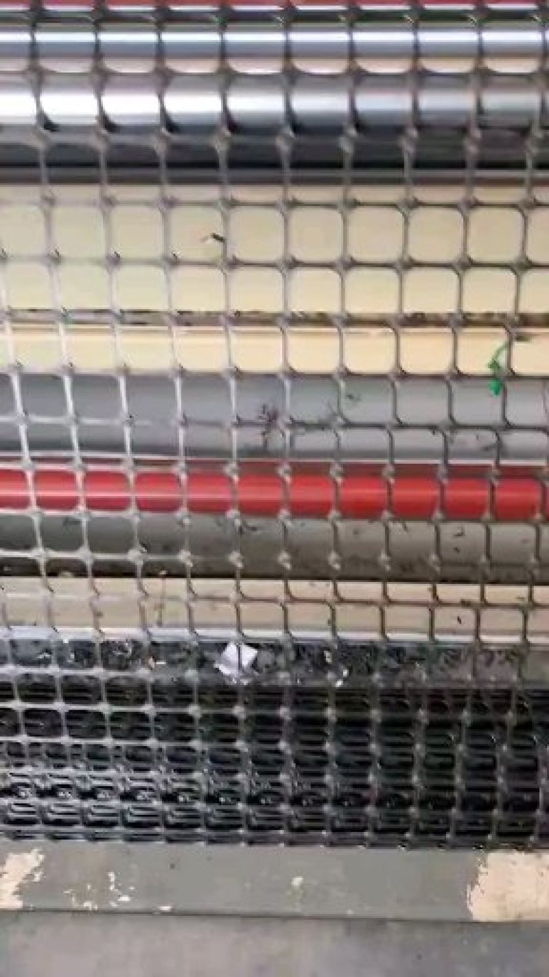 抗晒圈地塑料养殖网鸡鸭鹅脚踏网漏粪板菜园围栏网6-7年
