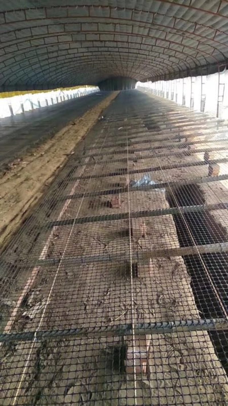 抗晒圈地塑料养殖网鸡鸭鹅脚踏网漏粪板菜园围栏网6-7年