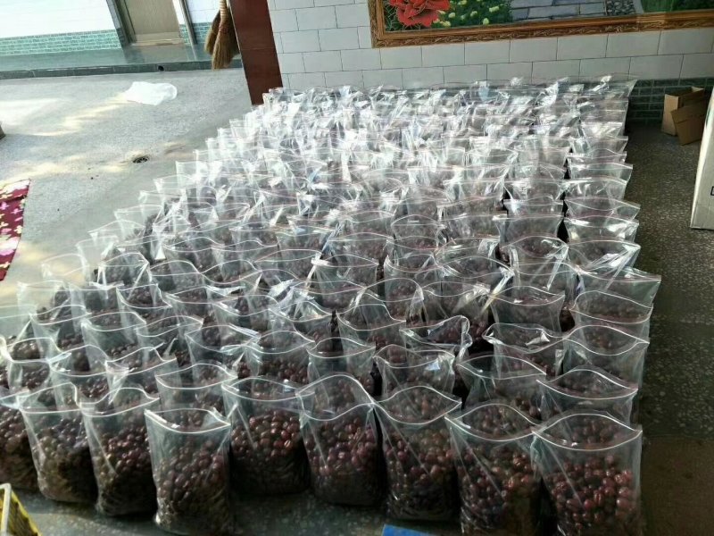 小圆枣，蒸馍专用，含糖量高