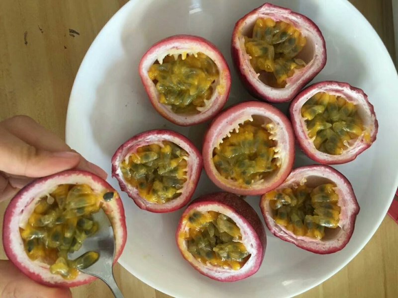 紫香一号百香果苗