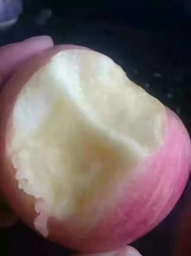 红富士苹果
