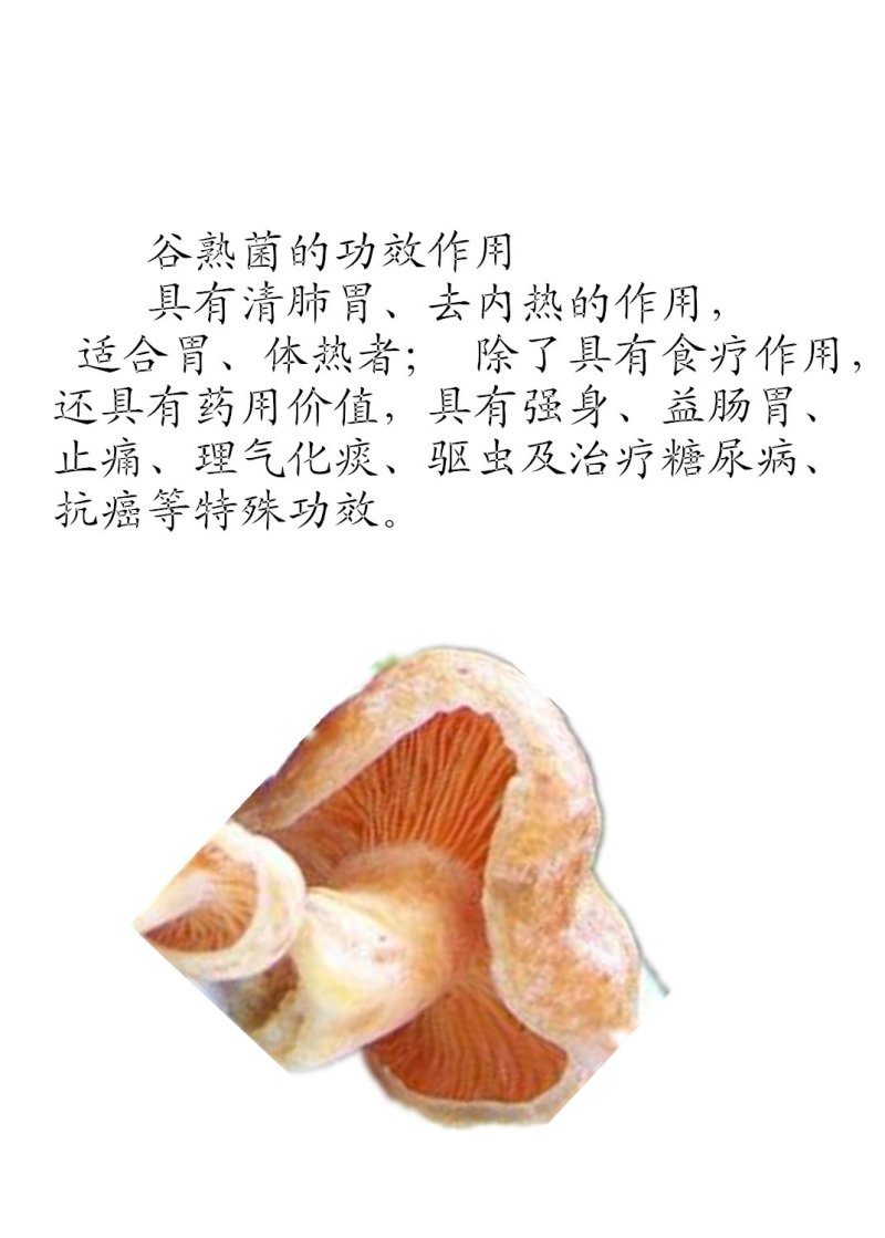 云南野生谷熟菌奶浆菌铜绿菌等五种干货配方每包200克包邮