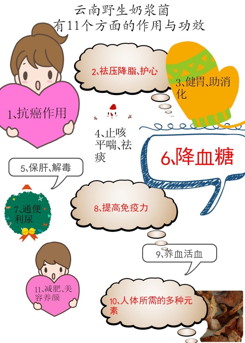 云南野生谷熟菌奶浆菌铜绿菌等五种干货配方每包200克包邮