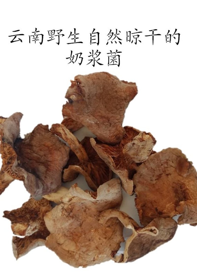 云南野生谷熟菌奶浆菌铜绿菌等五种干货配方每包200克包邮