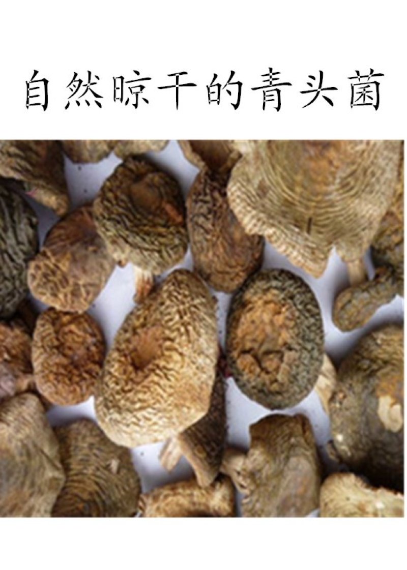 云南野生谷熟菌奶浆菌铜绿菌等五种干货配方每包200克包邮