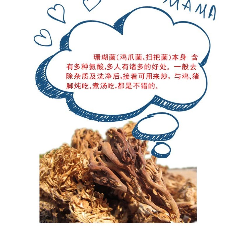 云南野生谷熟菌奶浆菌铜绿菌等五种干货配方每包200克包邮
