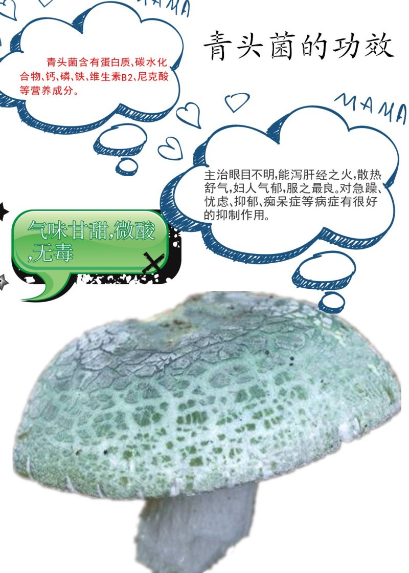 云南野生谷熟菌奶浆菌铜绿菌等五种干货配方每包200克包邮