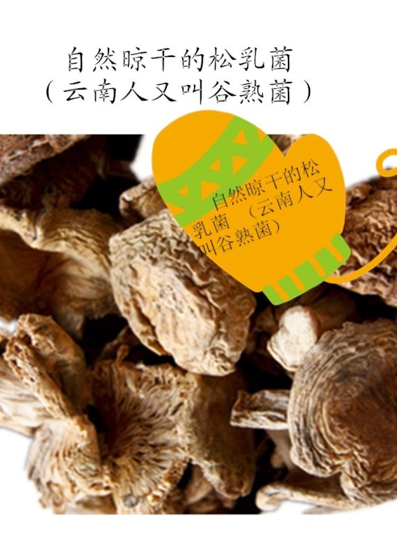 云南野生谷熟菌奶浆菌铜绿菌等五种干货配方每包200克包邮