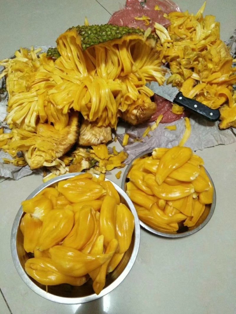 波罗蜜苗广西大波罗苗蜜甜南方种植