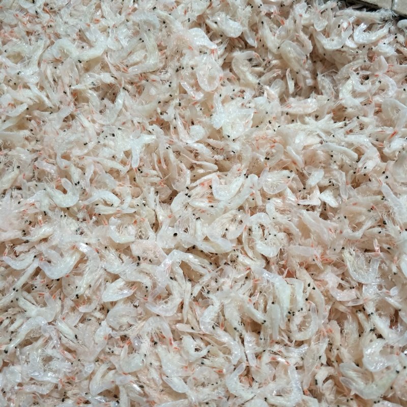 烤虾，虾酱，虾皮，海米，虾油