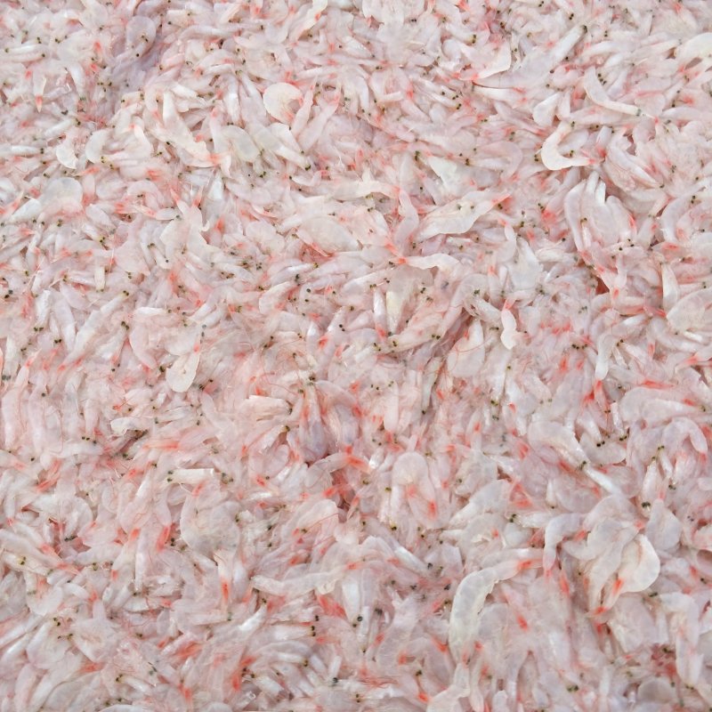 烤虾，虾酱，虾皮，海米，虾油