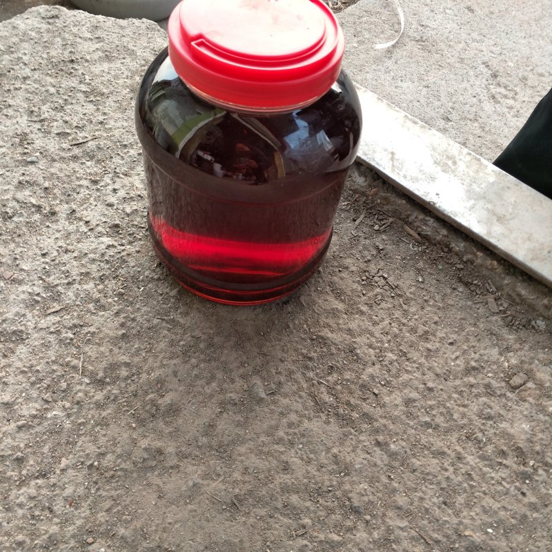 烤虾，虾酱，虾皮，海米，虾油