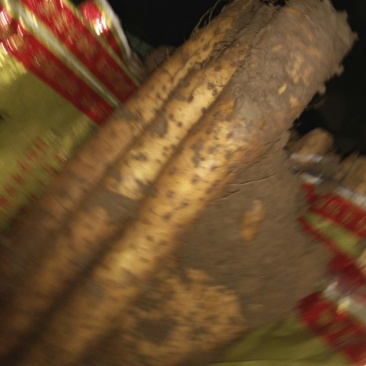 白玉山药