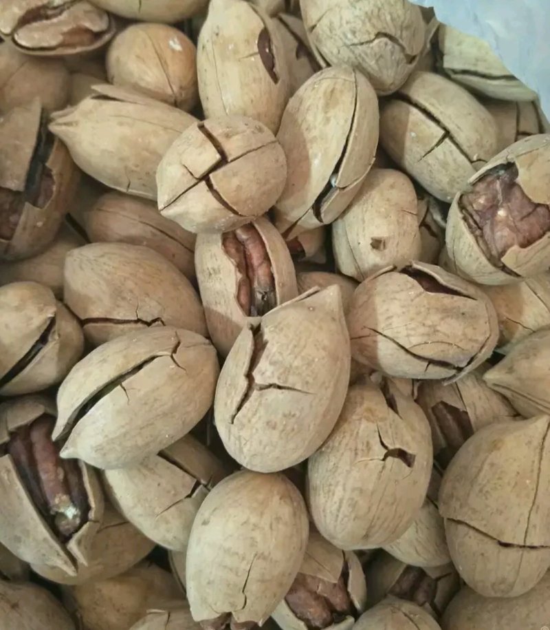 新货碧根果大量现货