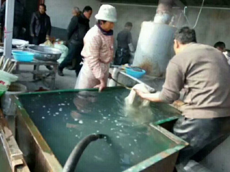 帮农户卖的纯红薯粉面