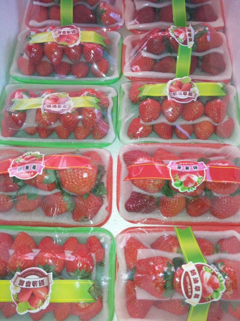 十九，久久，藏香，岗三草莓大量上市