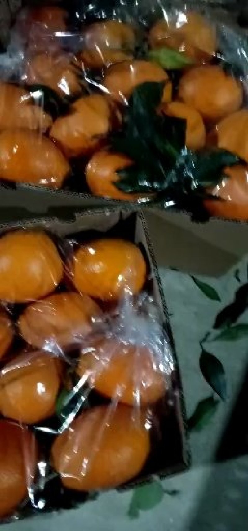 橙子常年代购代卖各种橙子品种，市场下货量大