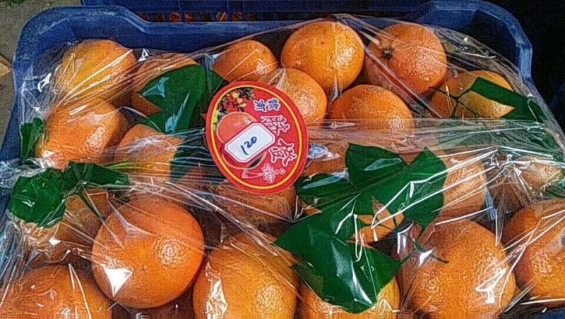 橙子常年代购代卖各种橙子品种，市场下货量大