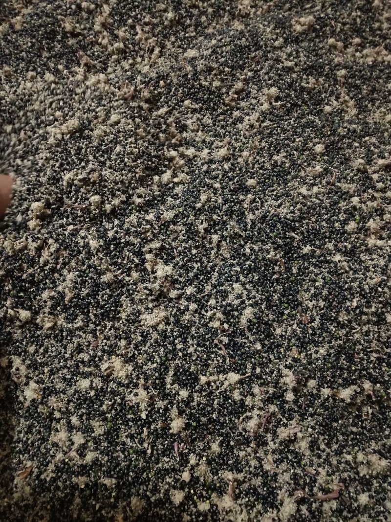 通草四川大通草通草通草一手货源保质保量量大从优