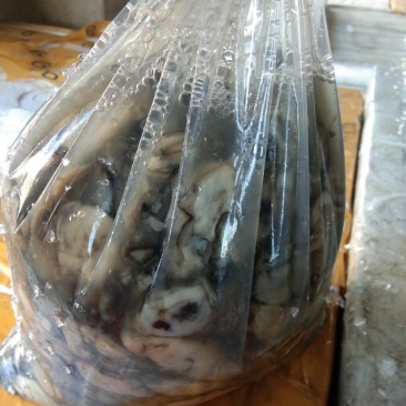 海蛎肉