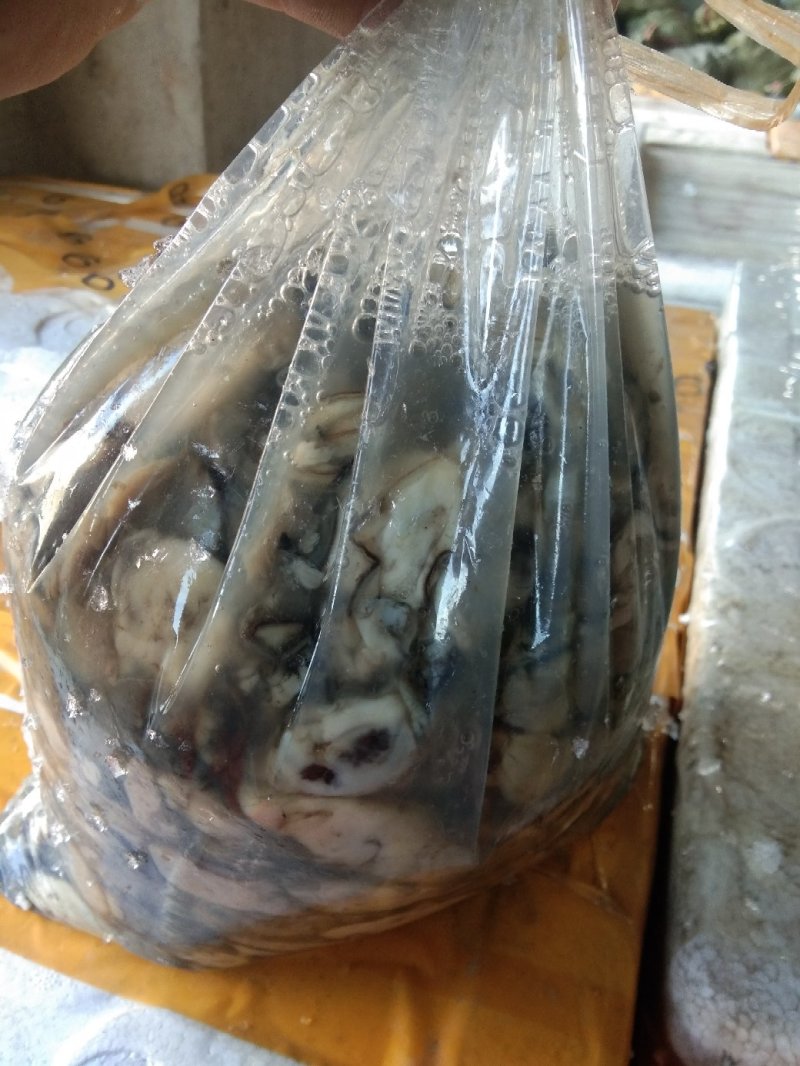 海蛎肉