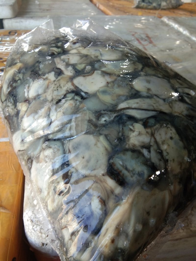 海蛎肉