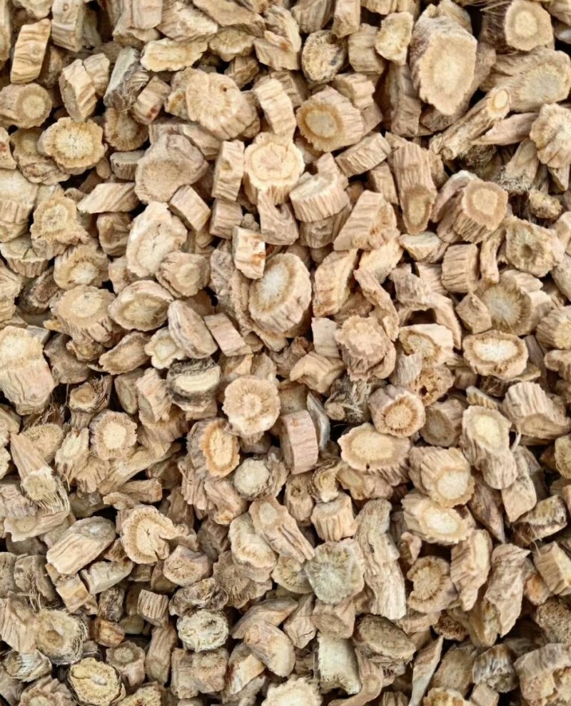 防风