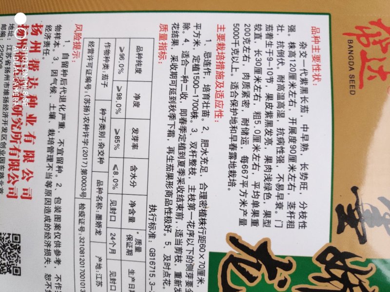 墨娇龙茄子种子中早熟果皮紫色发亮
