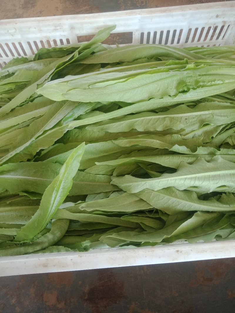 上海青，奶油小白菜，油麦菜