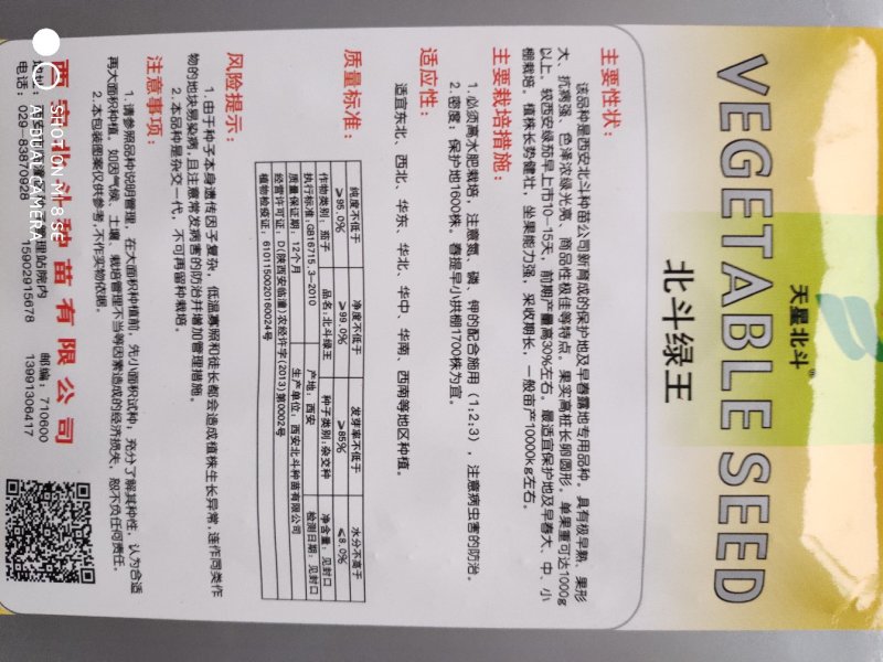 北斗绿王茄子种子早熟果形大色泽浓绿光亮