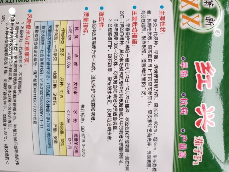 红兴茄子种子早熟耐热耐湿