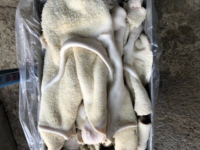 国产纯干半成品牛肚，精修无油