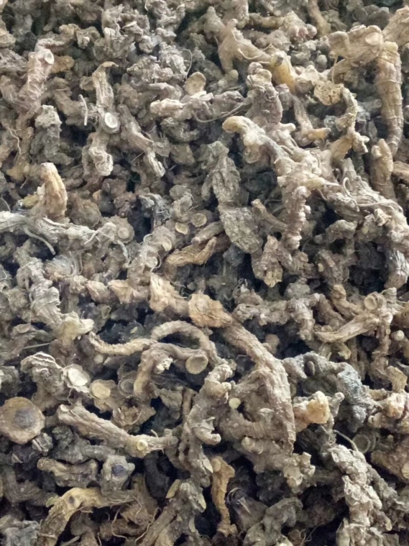 黄精，野生黄精