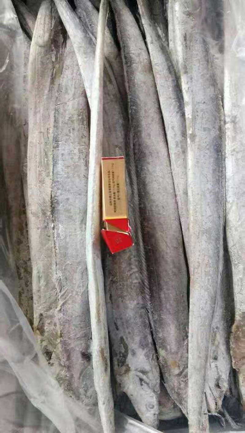 带鱼鱿鱼虾皮凤尾鱼