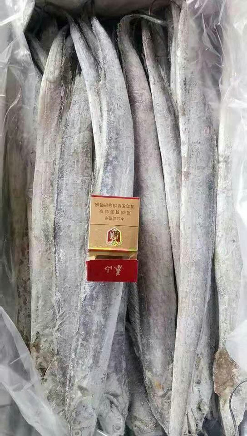 带鱼鱿鱼虾皮凤尾鱼