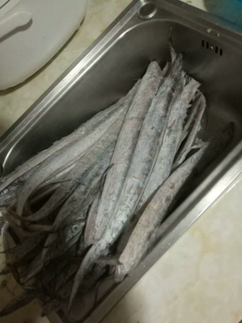 带鱼鱿鱼虾皮凤尾鱼