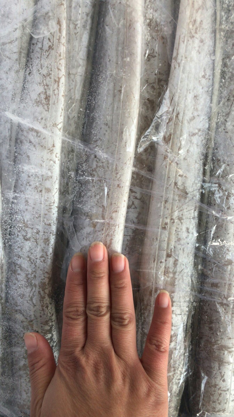 带鱼鱿鱼虾皮凤尾鱼